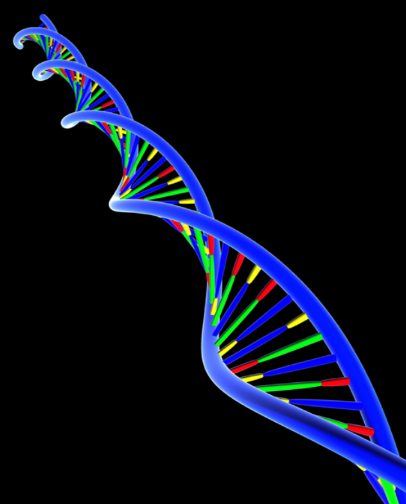 Trigger for BPH - Genetic factor